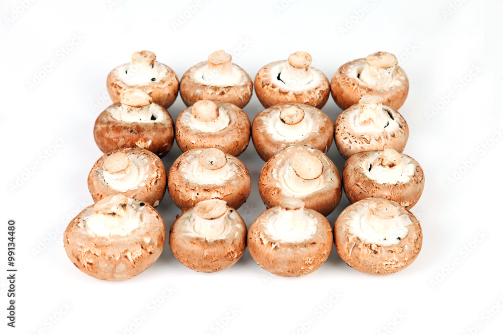 16 Champignons 16 Champignons