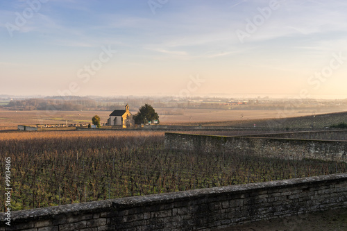 cimetière dans les vignes photo