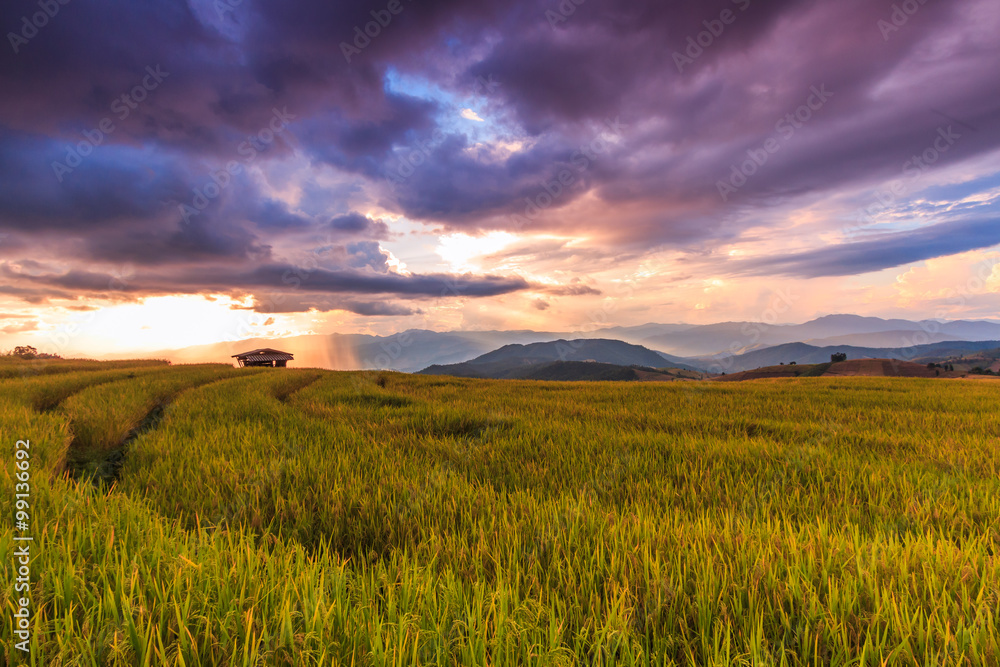 Paddy field in Mae Jam village with sunset sky, Chaingmai province of Thailand
