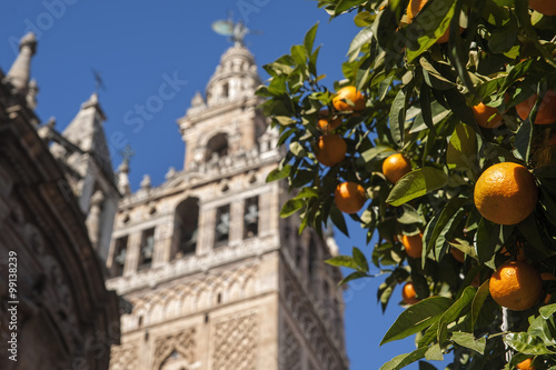 ciudades monumentales de Andalucía, la giralda de Sevilla photo