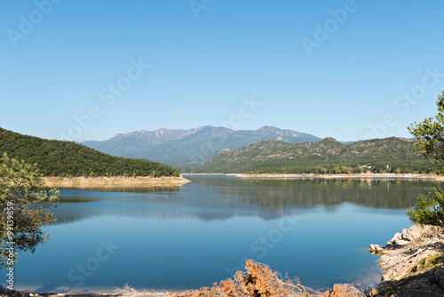 Swamp DARNIUS-BOADELLA (Girona)