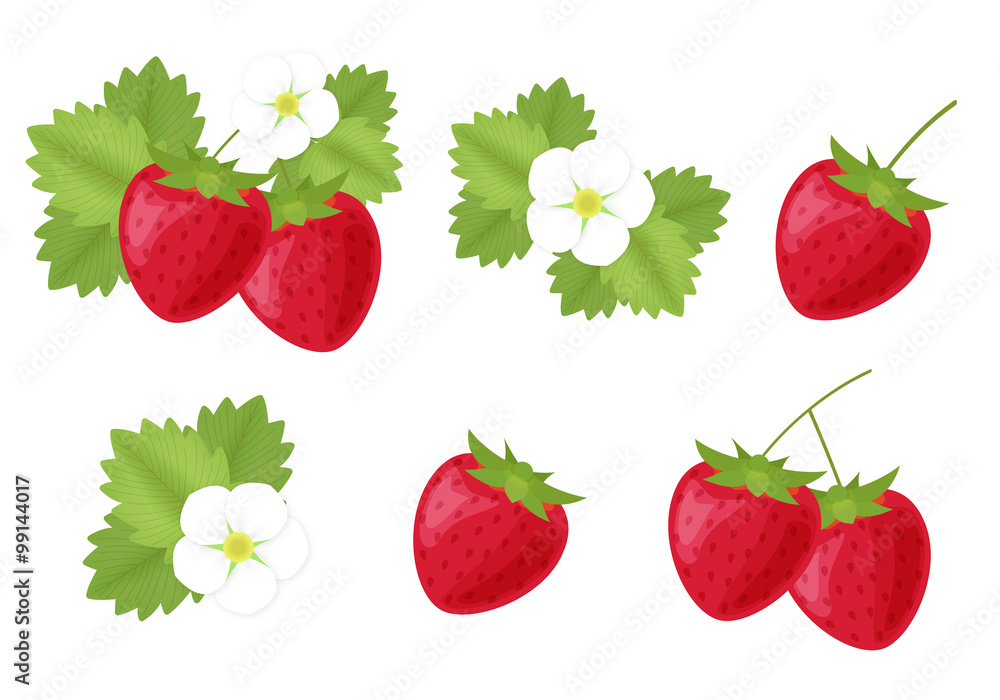 苺 いちご 花 葉 イラストカット素材セット Stock Illustration Adobe Stock