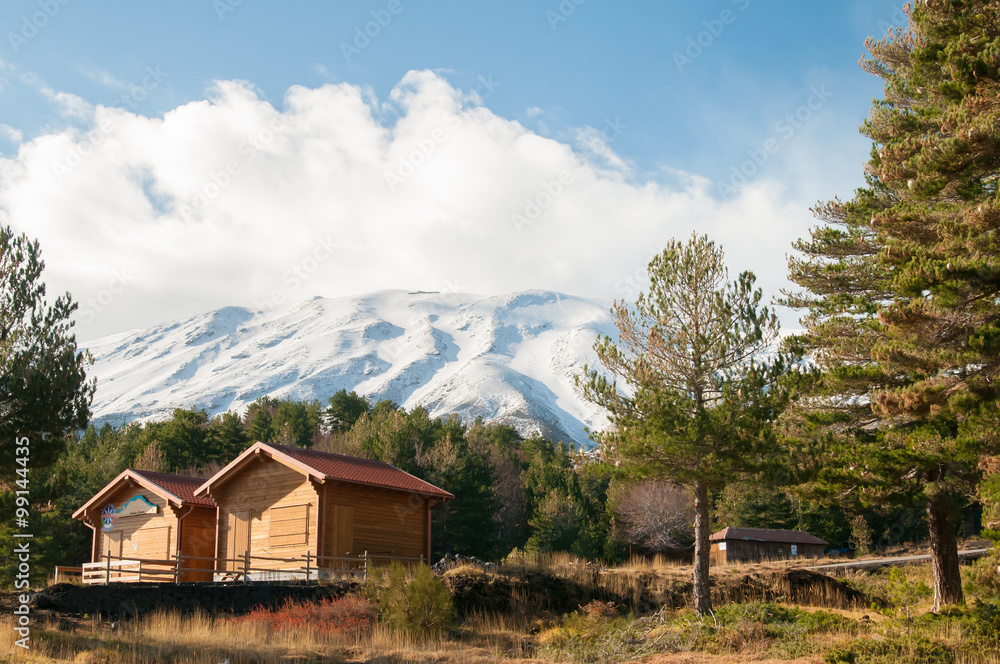 Northern side of Mount Etna with some pine trees, two wooden refuges and the snowy crater in the background