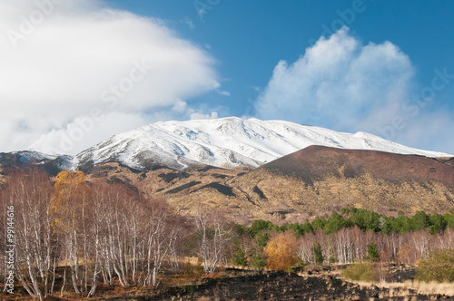 Northern side of Mount Etna with some pine trees, birches and the snowy crater in the background