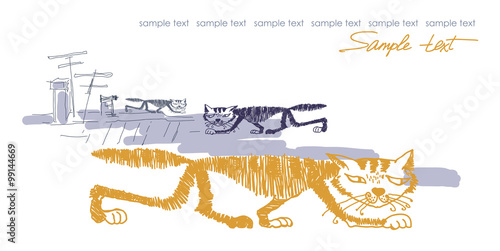 Vector cats illustration isolated on white