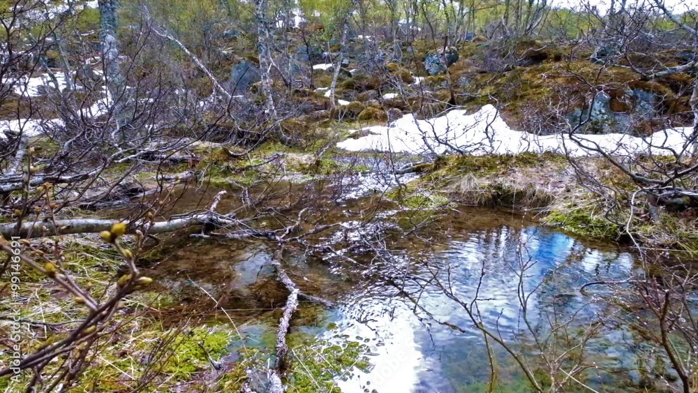 Stream from the glacier Stream from the glacier