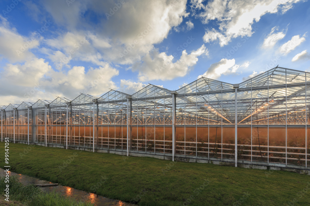 side view of an agricultural greenhouse against a moody sky side view of an agricultural greenhouse against a moody sky