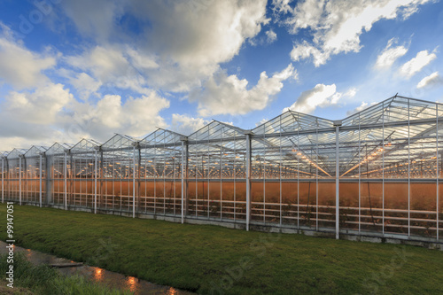 side view of an agricultural greenhouse against a moody sky