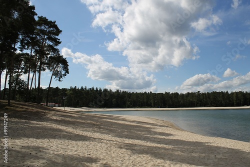 beautiful beach-lake near Utrecht in the Netherlands, surrounded by pine forest with lots of shade and lawns. Henschotermeer лаке surroundings of Utrecht  near Amsrerdam in the Netherlands photo