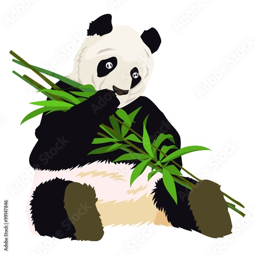 Fototapeta Naklejka Na Ścianę i Meble -  eating panda