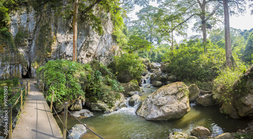 Devil s Cave  canopy and forest in Merida State