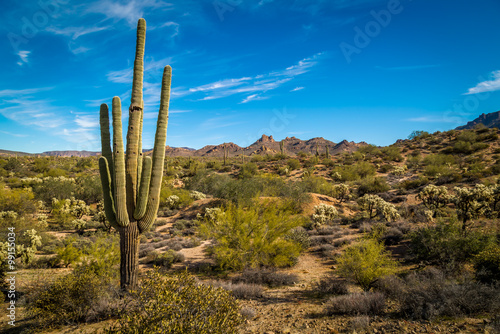 Superstition Mountains Arizona © jon manjeot