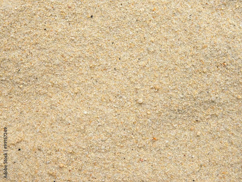 Beach sand grain Beach sand grain