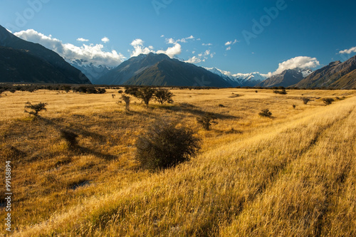 landscape of mt.cook national park, New Zealand