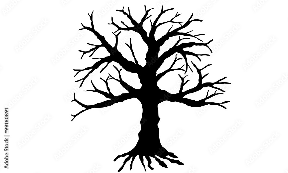 Tree vector isolated on white background. Tree vector isolated on white background.