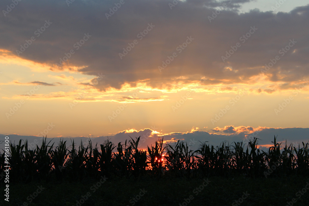 Dark summer decline above the village Dark summer decline above the village