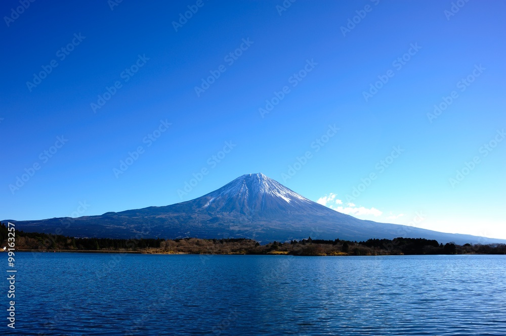 富士山と田貫湖　/　富士山と田貫湖を撮影しました。