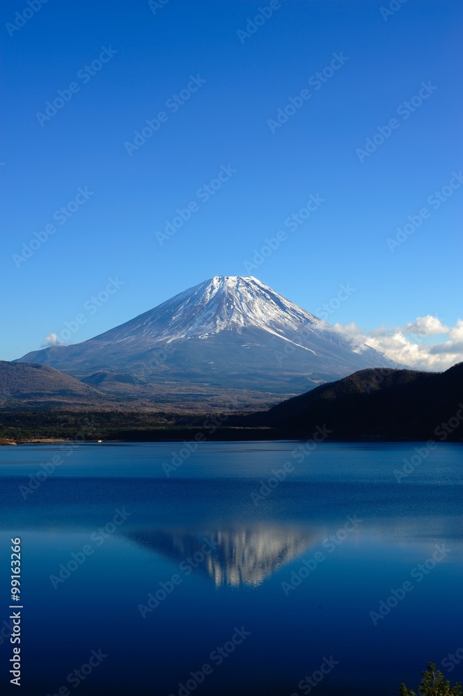 富士山と本栖湖　/　富士山と本栖湖を快晴の空のもとで撮影しました。