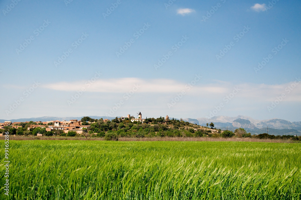 Obraz premium Mallorcinische Landschaft