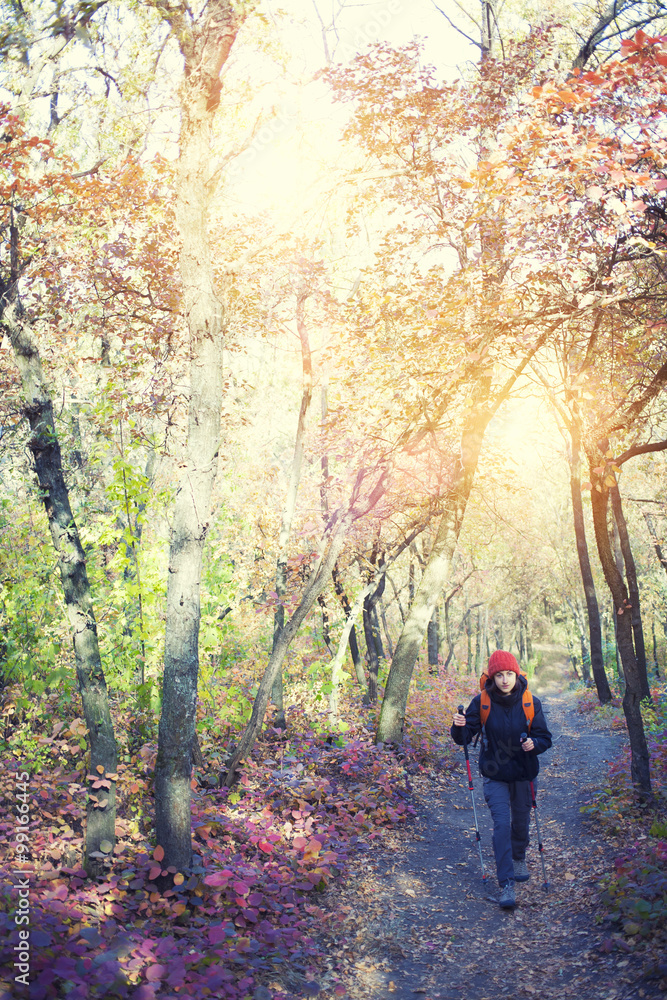 The girl with the backpack walking in the forest.