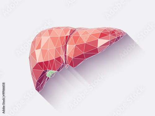 Liver faceted