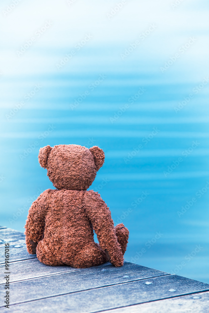 Teddy bears best sale by the sea