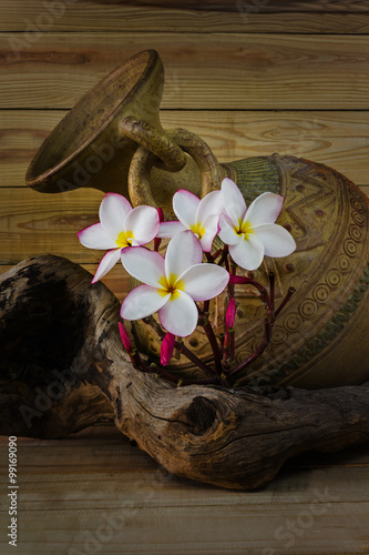 Still life colour tone of pink flower plumeria bunch with old ba