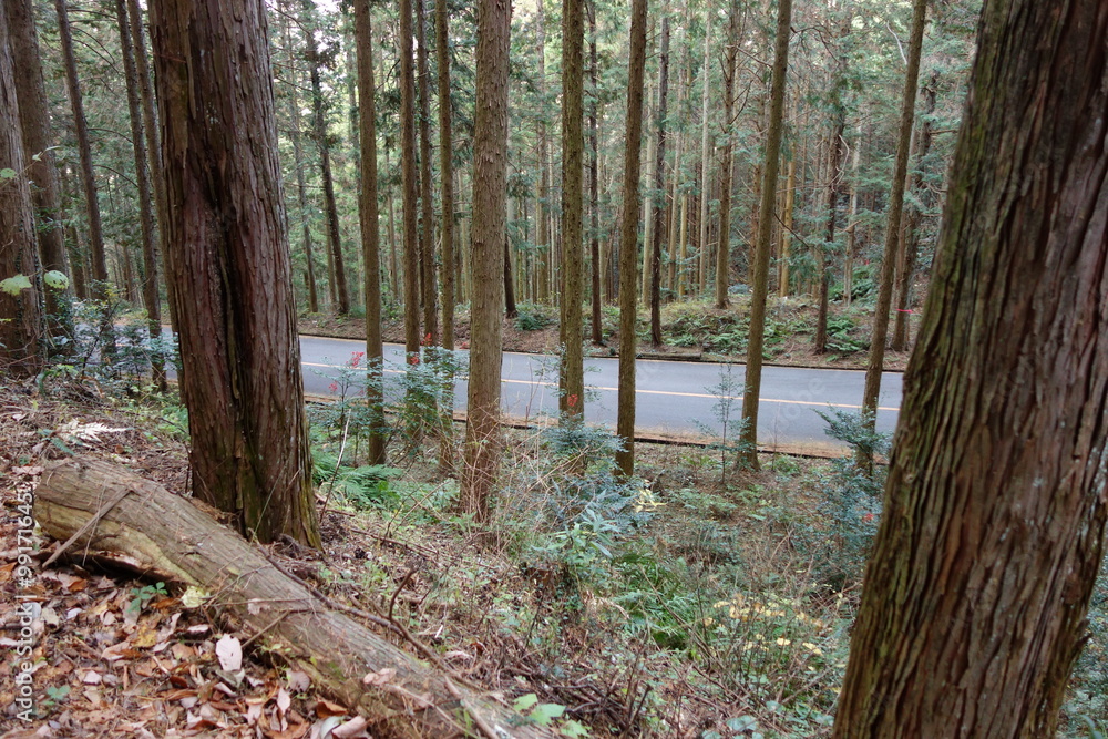 Road under the cliff Road under the cliff