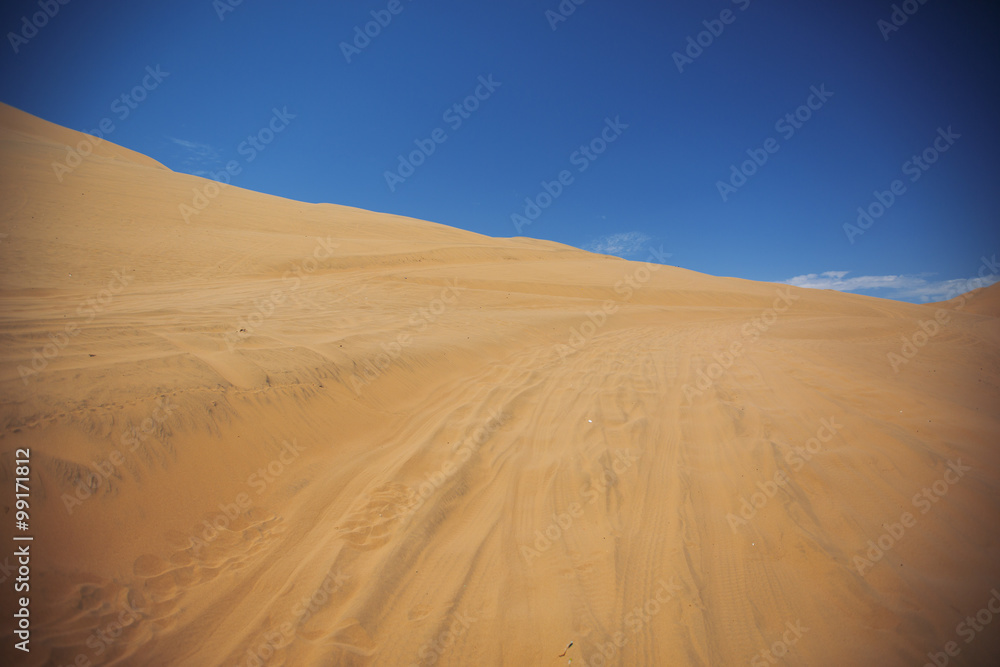 Sands dunes in the desert