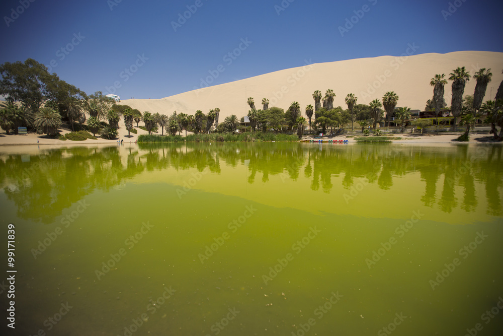 Obraz premium oasis in the dunes. Peru