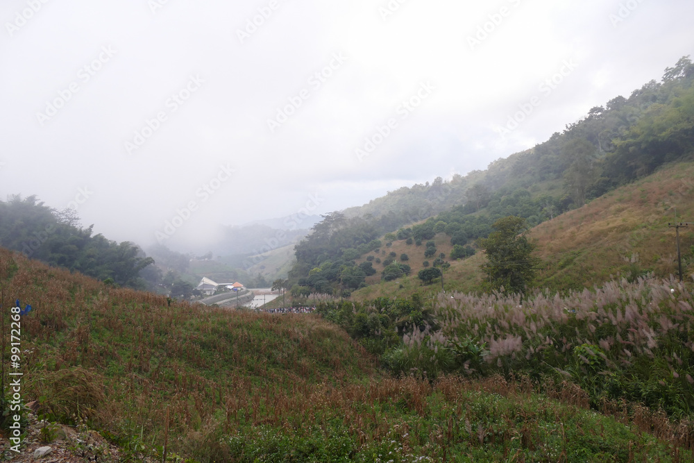 Obraz premium mist on the mountain