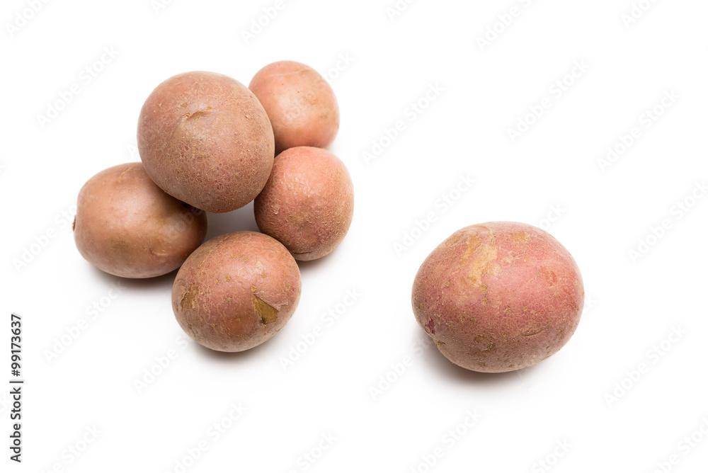 Patate a buccia rossa su fondo bianco Patate a buccia rossa su fondo bianco