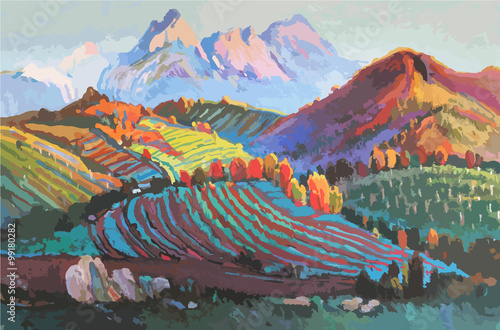 Vineyards