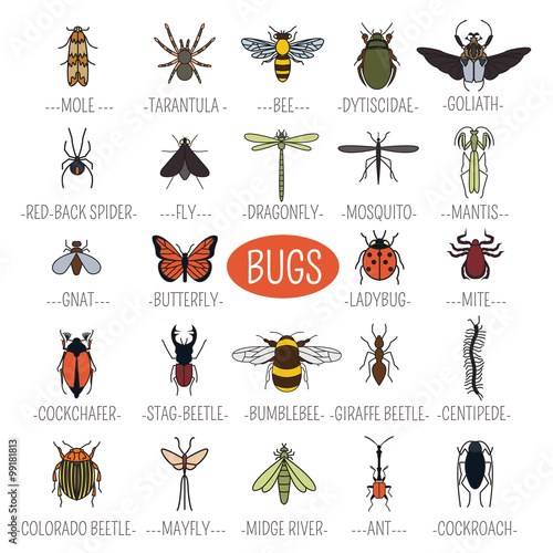Insects icon flat style. 24 pieces in set. Colour version © a7880ss
