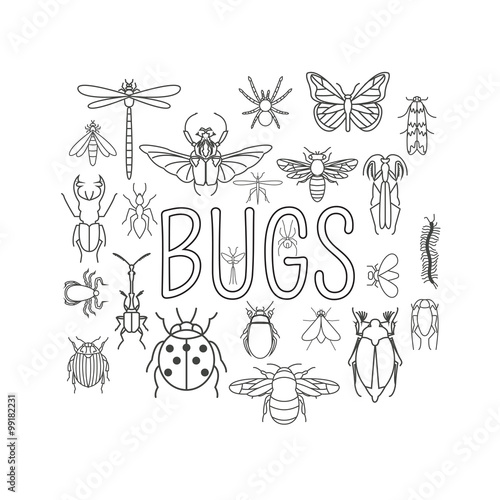 Insects icon flat style. 24 pieces in set. Outline version