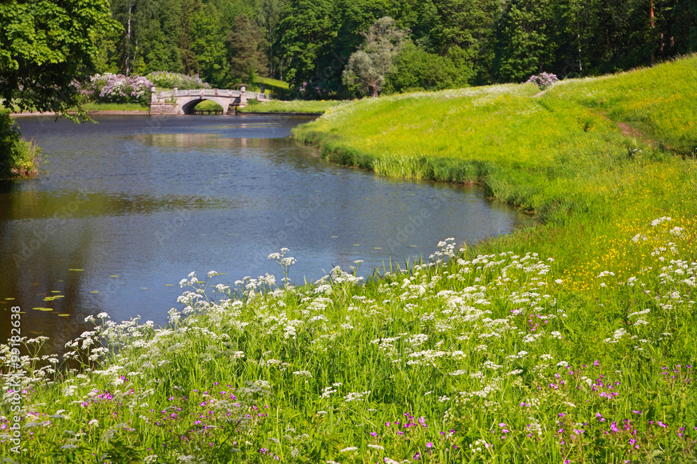 Landscape, Pavlovsk Park