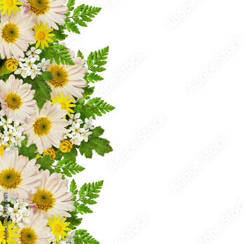 Asters and wild flowers border