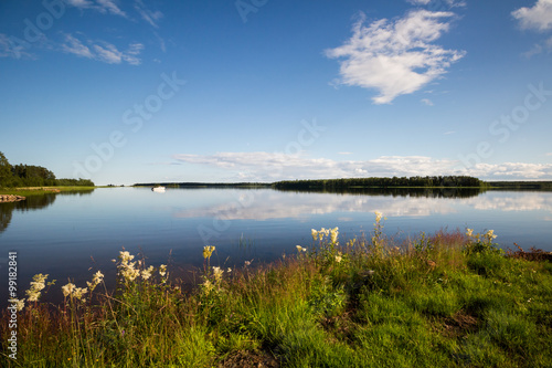 A beautiful summer day in northern Sweden. A lake with calm water  blue skies and green grass. 