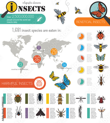 Insects infographic template