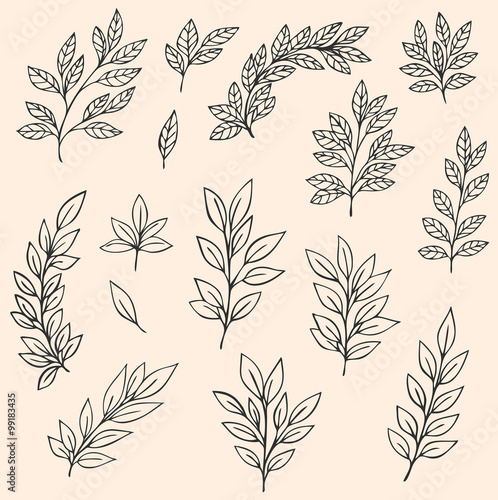 Decorative leaves and branches