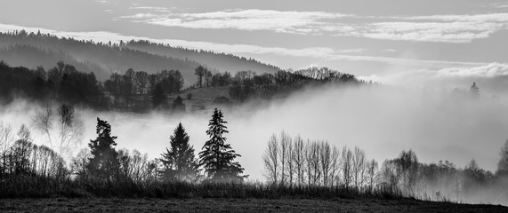 Keuken achterwand Mistige ochtendstond Ochtendmist tussen bomen in bos  © Vera Kuttelvaserova