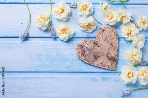 Decorative heart and fresh  spring  white narcissus and muscarie photo