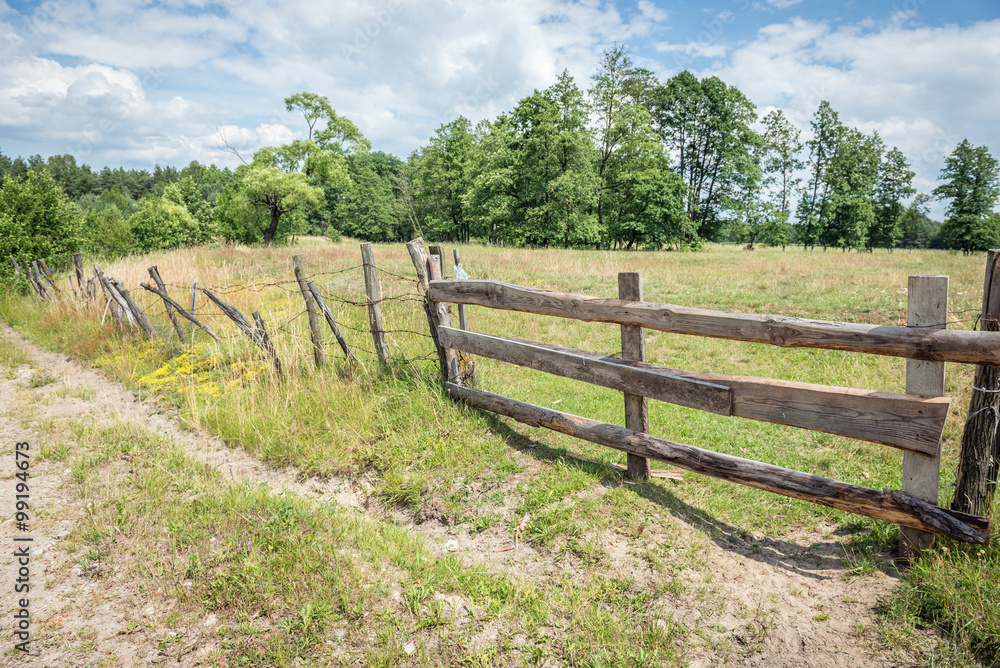 wooden gate of animal pastureland on countryside in Mazovia region, Poland