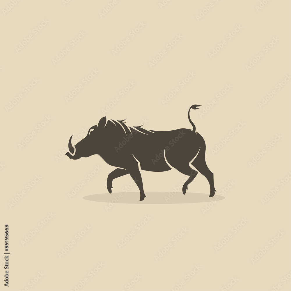 Obraz premium Warthog 