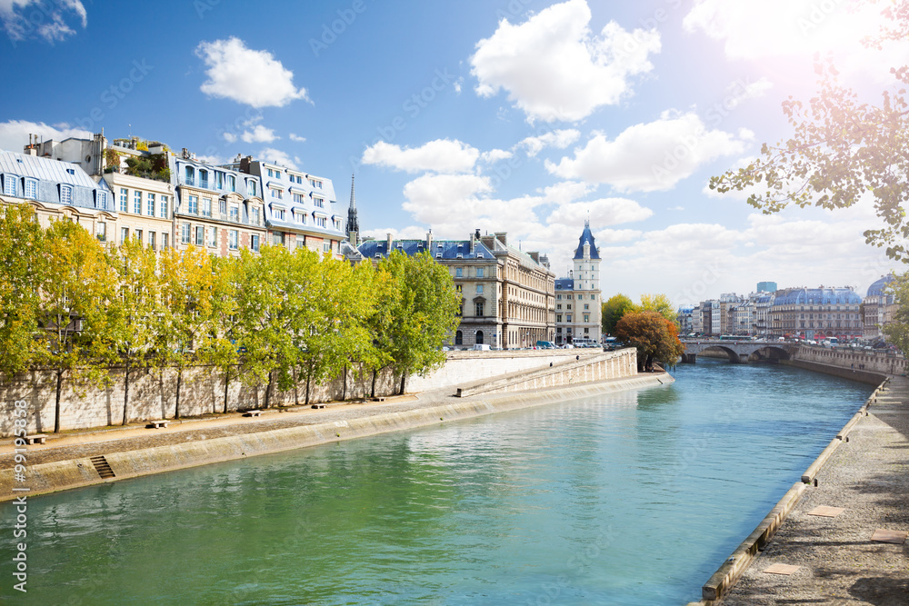 Notre Dame along the Seine river - obrazy, fototapety, plakaty 