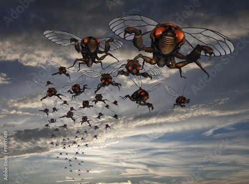 Tableau sur toile Swarm of Cicadas in Evening Sky