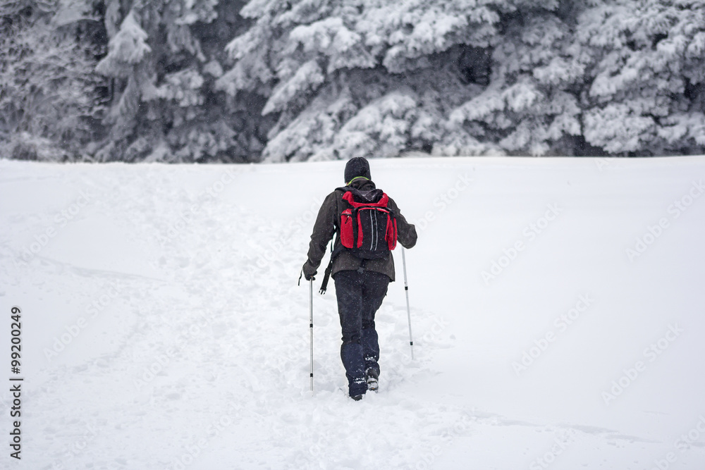 Mountaineer in the snow forest Mountaineer in the snow forest