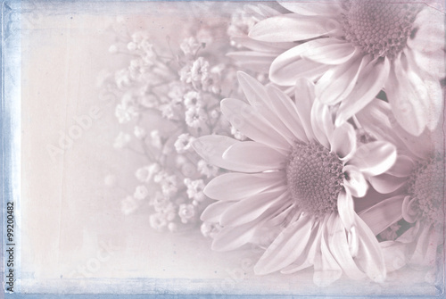 daisy bouquet with pastel pink texture overlay and blue frame