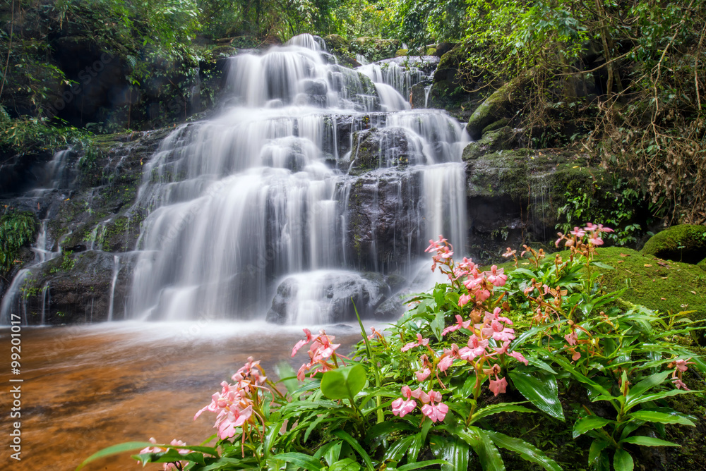 Naklejka premium beautiful waterfall with pink snapdragon flower in foreground
