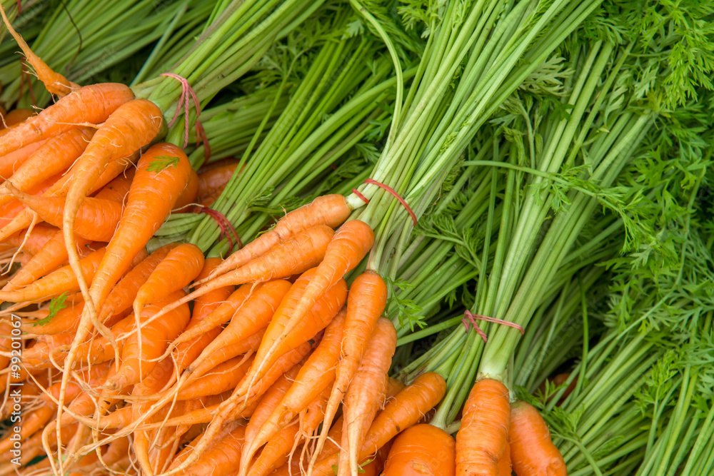 Many group of Fresh carrots Many group of Fresh carrots